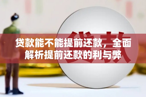 大埔贷款能不能提前还款，全面解析提前还款的利与弊