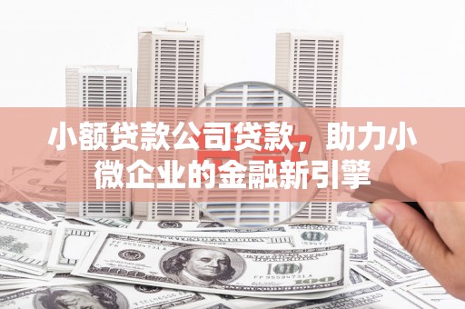 康马小额贷款公司贷款，助力小微企业的金融新引擎
