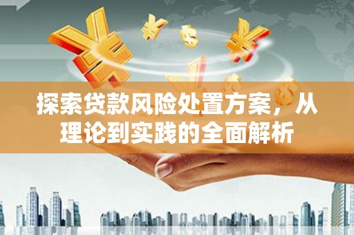 和硕探索贷款风险处置方案，从理论到实践的全面解析