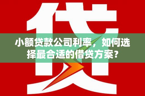 厚街小额贷款公司利率，如何选择最合适的借贷方案？