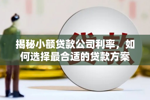 蠡县揭秘小额贷款公司利率，如何选择最合适的贷款方案