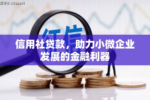 通川信用社贷款，助力小微企业发展的金融利器