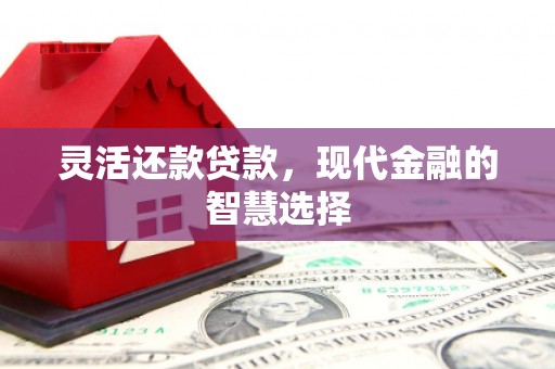 张家川灵活还款贷款，现代金融的智慧选择