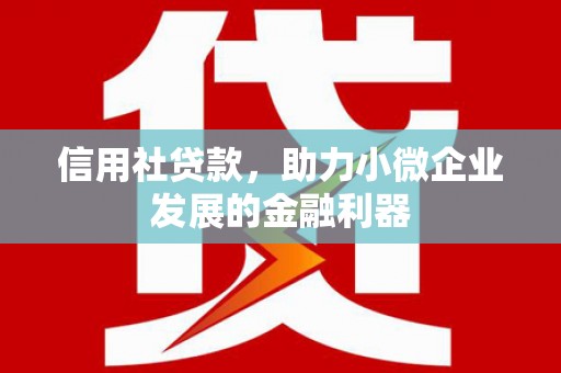 安宁信用社贷款，助力小微企业发展的金融利器