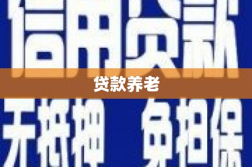 叶城贷款养老