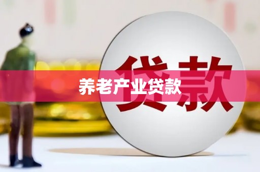 莎车养老产业贷款