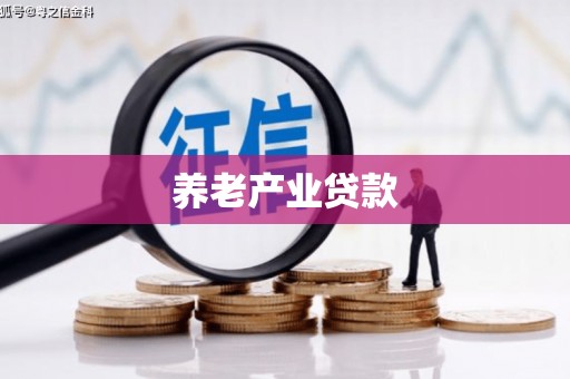 沈北新区养老产业贷款
