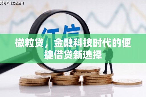 板芙微粒贷，金融科技时代的便捷借贷新选择