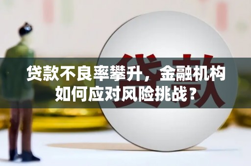 敖汉旗贷款不良率攀升，金融机构如何应对风险挑战？