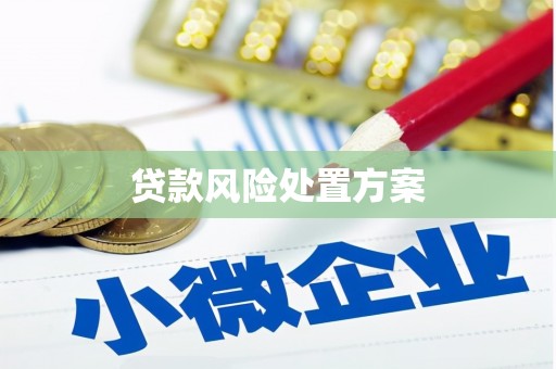 保亭贷款风险处置方案