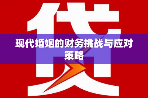 六横现代婚姻的财务挑战与应对策略