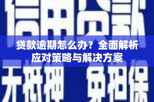 全南贷款逾期怎么办？全面解析应对策略与解决方案
