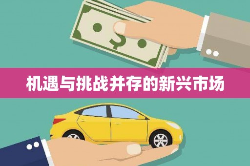格尔木机遇与挑战并存的新兴市场