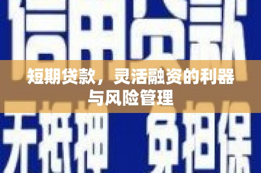 禅城短期贷款，灵活融资的利器与风险管理