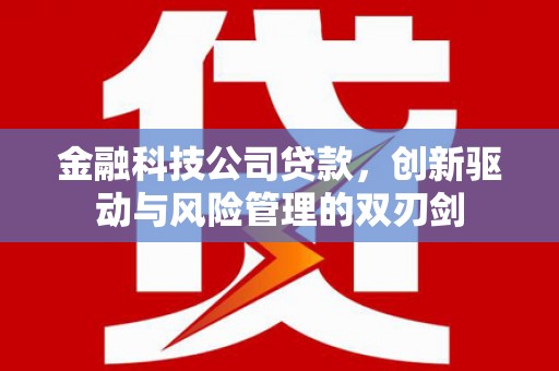 大洼金融科技公司贷款，创新驱动与风险管理的双刃剑